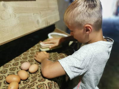 Bild 112 aus  Wallneralm