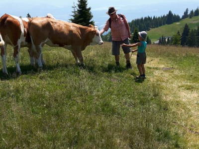 Bild 25 aus  Sportbauernhof Hochalmblick