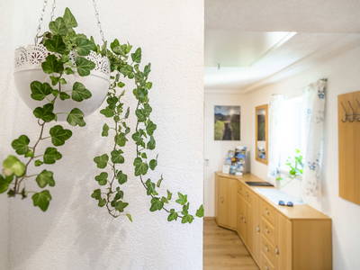 Bild 47 aus  Kaserer