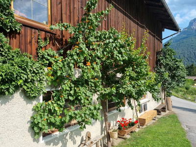 Bild 115 aus  Kassnhof