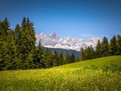 Bild 32 aus  Premhof