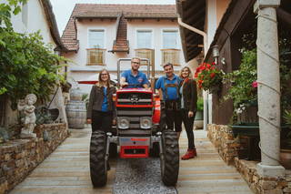 Weinhof Brauner aus Stratzing