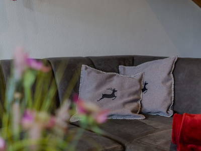 Bild 68 aus  Gut Stein