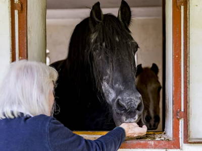 Bild 37 aus  Haus Eveline