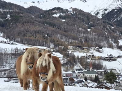 Bild 33 aus  Granbichlhof