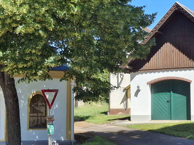 Bild 71 aus  Ferienhaus Weinviertel