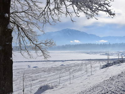 Bild 80 aus  Bauernhof Appartments Zechner