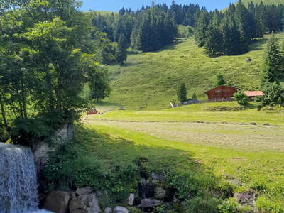 Bild 35 aus Neudegg Heimalm
