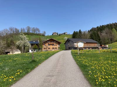 Bild 65 aus Familie Nußbaumer