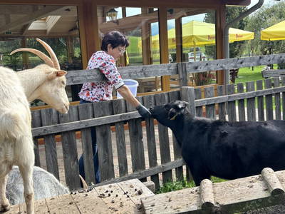 Bild 196 aus  Kuchlbauer