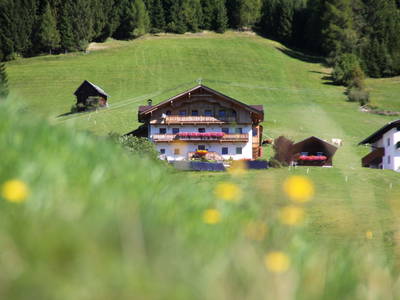 Bild 2 aus  Oberrieserhof
