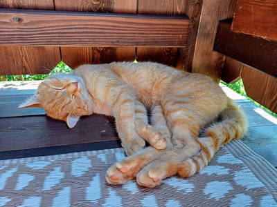 Bild 146 aus  Almhütte Brandgut