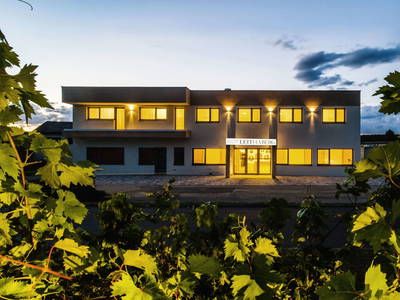 Bild 2 aus  Gut Leithaberg