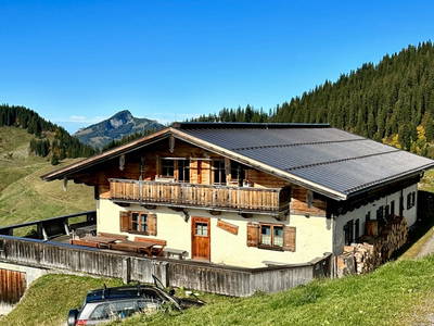 Bild 51 aus  Lochner Alm