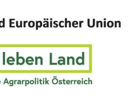Bild 12 aus  Alpboden