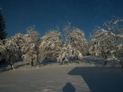 Bild 82 aus  Dichtlhof