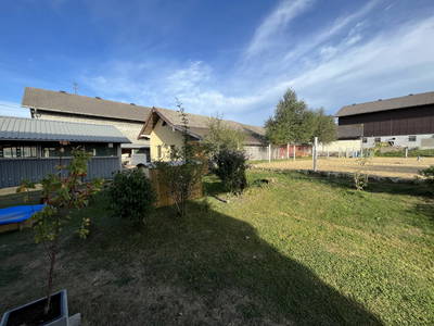 Bild 40 aus  Pferdehof Thomayer