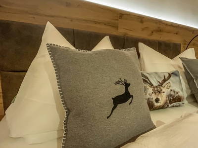 Bild 36 aus  Chalet Hochthron