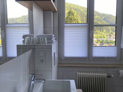 Bild 105 aus  Apartmenthaus Eisenstrasse