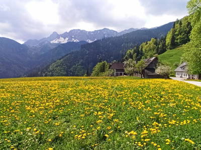 Bild 23 aus  Bauernhof & Erlebnisimkerei Adamk