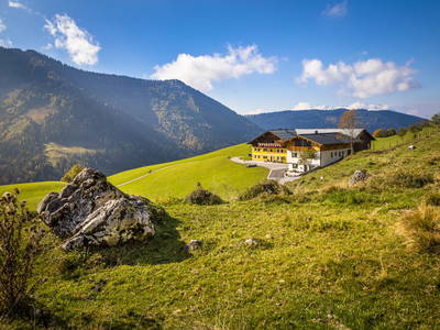 Bild 2 aus  Bio-Bauernhof Lasserbauer