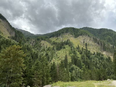 Bild 19 aus  Almhaus Sparwald