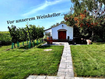 Bild 54 aus  Ferienhaus Weinviertel