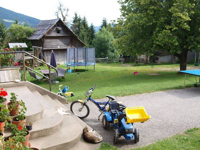 Bild 41 aus  Biobauernhof Walcherhof