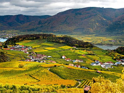 Bild 111 aus  Weingut STRAWANZER Donabaum