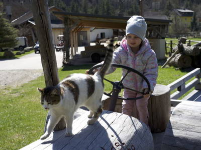 Bild 12 aus  Blasiwirt