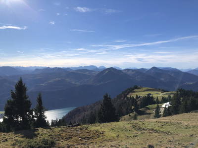 Bild 29 aus Testhof Salzburg