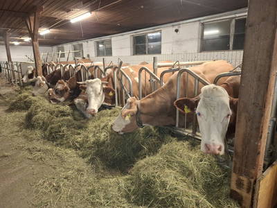 Bild 113 aus  Ablass