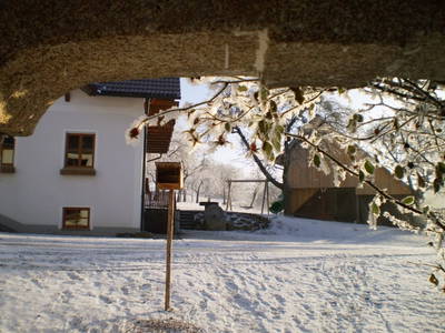 Bild 68 aus  Grainmeister