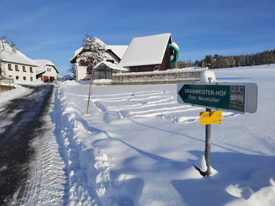 Bild 89 aus  Grainmeister