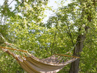 Bild 7 aus  Bauernhof Seppl am Berg