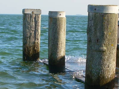 Bild 24 aus  Lindenhof