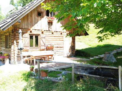 Bild 66 aus  Almhütte Meierle