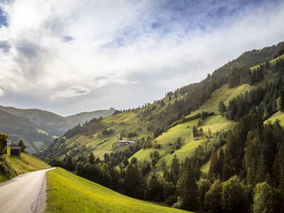 Bild 116 aus  Wandlehenhof