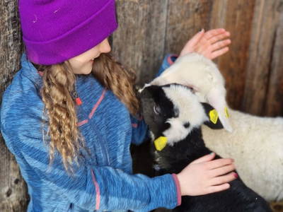 Bild 116 aus  Heselehof