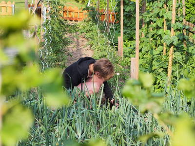 Bild 28 aus  Gesundheitsbauernhof