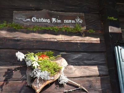 Bild 16 aus  Größingalm