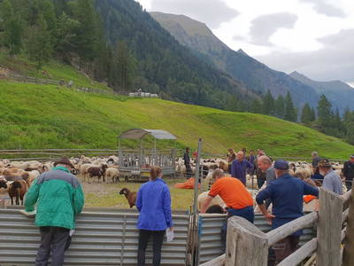 Bild 77 aus  Pöllitzgut