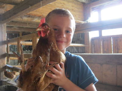 Bild 59 aus  Bio-Urlaubshof Dansbach