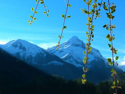 Bild 39 aus  Haus Alpengruss