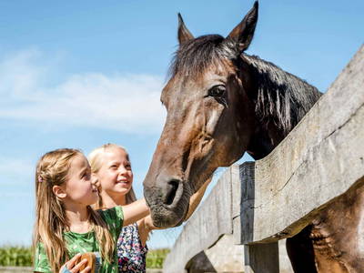 Bild 30 aus  Huberhof