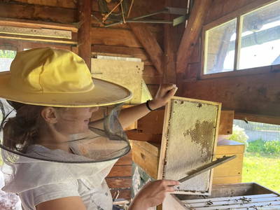 Bild 11 aus  S'Landhäuschen