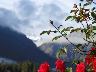 Bild 228 aus  Stanglhof