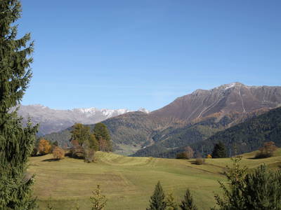 Bild 73 aus  Fergl's Hof