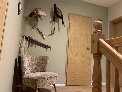 Bild 16 aus  Ferienwohnung im Rosengarten