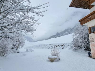 Bild 158 aus  Alfaierhof & Bergheimat